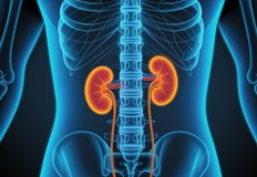 Изследователи от Канада и Китай направиха пробив в трансплантацията с