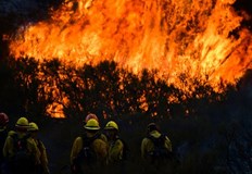 WWF България внесе петиция с над 13 хиляди подписа за