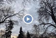 Силен вятър от юг югозапад после от северозапад максимални температури до