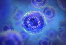 Международeн екип разкри ключов механизъм за контрол на молекулния потокМеждународен