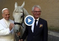 Конят на име Протон ще бъде продаден на търг а