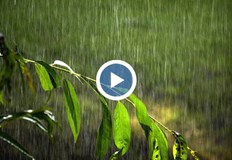 В Западна България са обявени жълт и оранжев код за