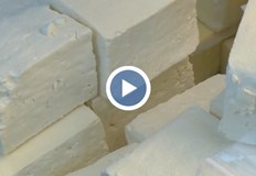 Медици алармират Палмовото масло в храните е чуждо на човешкото