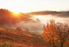 Сутринта ще е студена с мъгла в низините но през