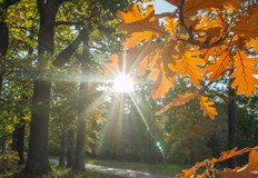 Слънчево и топло време очаква България до края на седмицатаПрез