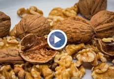 Пролетни измръзвания погубиха почти цялата реколта в най големия масив край