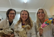 Откриването е на 31 октомври от 18 00 часа в Екомузей