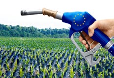 Производството им поглъща 20 от растителните масла в светаБиогоривата насърчавани