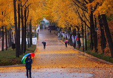 След средата на месеца се очаква сухо време с над