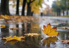 Максималните температури в страната ще са между 15 и 20