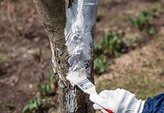 Деца в овощната градина Практически уроци по екологично земеделиеНа 3