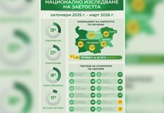 Експерти препоръчват инвестиране в нови умения особено в областта на