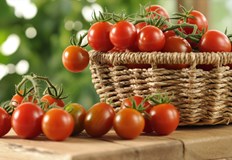 Огнището продължава от 2023 година а бактерията е открита в