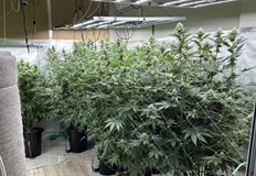 Открити са високотехнологично оборудване везни и екстазиПолицията във Варна е