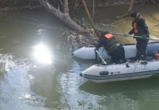 Дърветата застрашаващи оттока на реката са изцяло отстранени в акцията