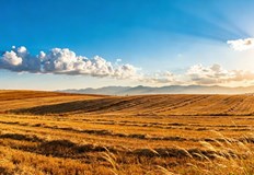 Само в южните и планинските райони ще превали слаб дъждПрез