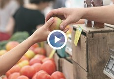 Само за 2024 година цените на някои основни храни са