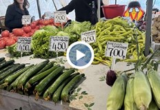 Владимир Иванов и Цветан Цеков призовават за спешни мерки по силен