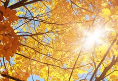 Метеоролозите очакват продължение на сиромашкото лятоБългария ще посрещне първия ден