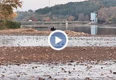 Кметът Пенчо Милков организира масова доброволческа акция на 1 ноември