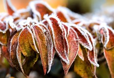 Сутрините ще са студени и със сланиДо края на октомври