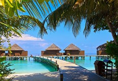 Апартамент във Велинград достига 8000 лева докато седмица на екзотичен