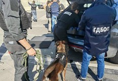 Специална операция на пристанището в Генуа проведоха съвместно с европейски