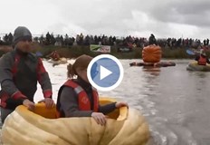 Необичайното състезание в град Кастерле привлече вниманието на десетки зрителиЖителите