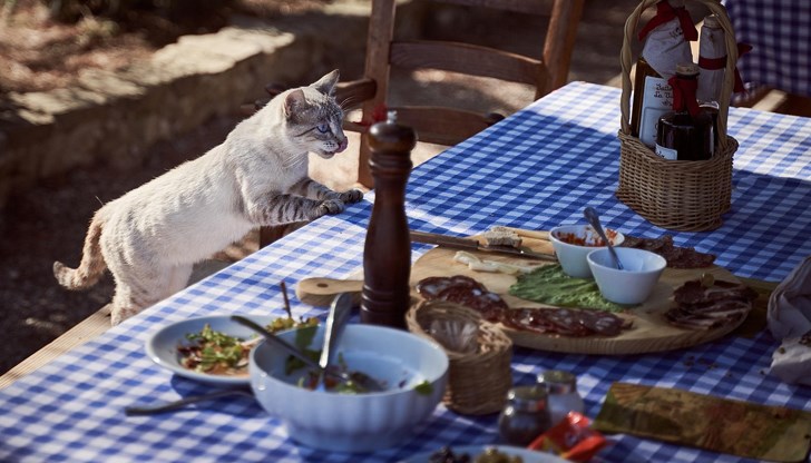 Разследването на случая е в ход под надзора на Русенската районна прокуратура Разследването на случая е в ход под надзора на Русенската районна прокуратура