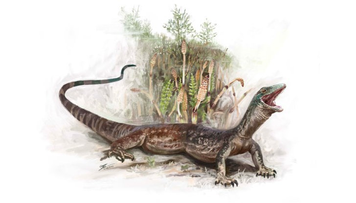 Фосилът на 167 милиона години озадачава палеонтолозите с хибридните си черти