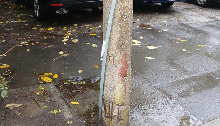 Вчера моето куче го удари ток, но утре може да е дете, коментира г-жа Тодорова