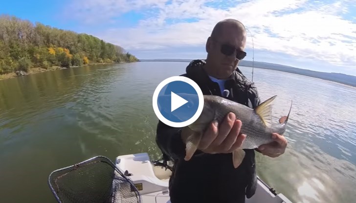 Влогърът Тео от DnFishing улови 60-сантиметрова риба, но изпусна още по-големи екземпляри