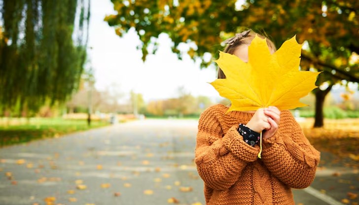 Ще превали на отделни места в източните и планинските райони