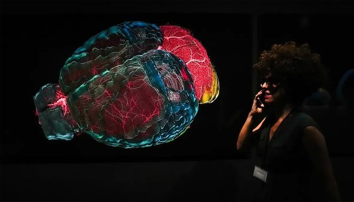 Изследване показва, че антидепресантите намаляват усложненията и разходите при онкоболни