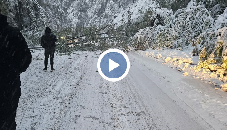 Снежната покривка достигна 10 сантиметра, шофьорите без зимни гуми са принудени да се връщат