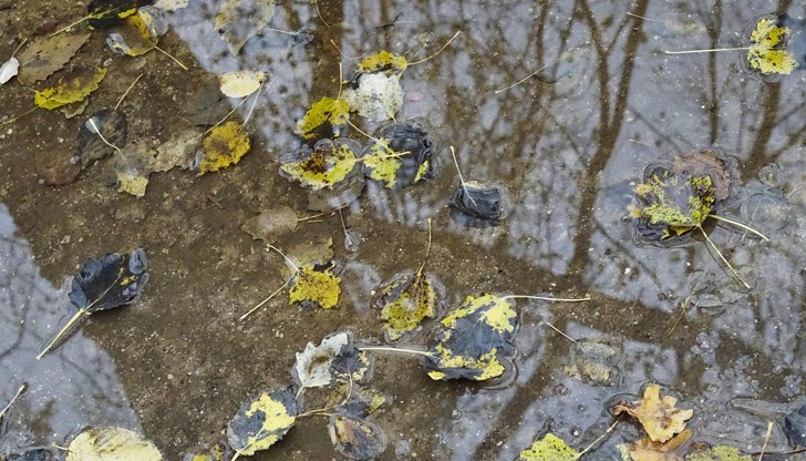 Облаците ще са динамични, но с чести слънчеви разкъсвания