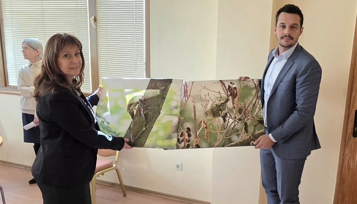 Сдружение от граждани алармира за опасност от унищожаване на ценната екосистема с над 140 вида птици