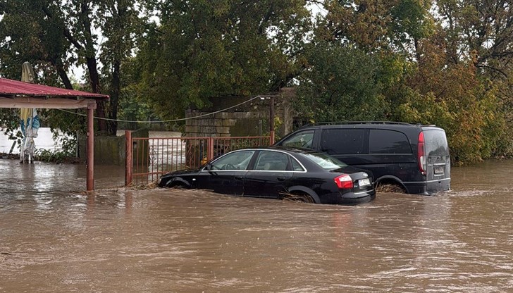 Циклонът отнесе автомобили и събори множество дървета в столицата