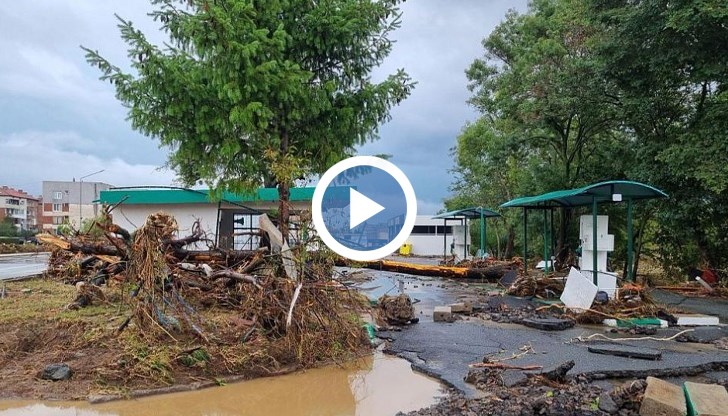 Хора събират пари от водата след като фирмена каса се разби край понтона