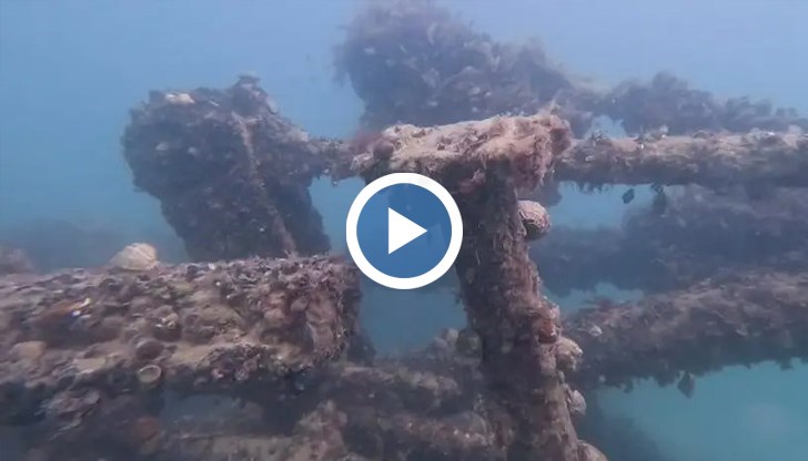 Учените от Центъра за подводна археология намериха рядка находка на 300 метра от плажа