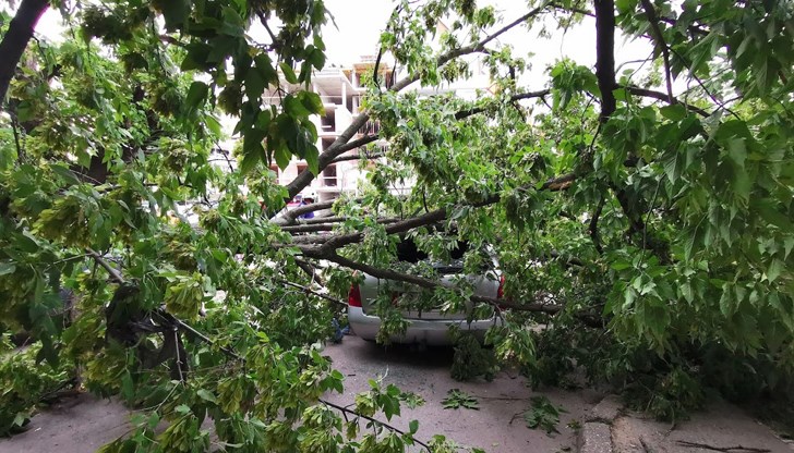 Автобуси се пренасочват, тролейбуси изчакват заради скъсана контактна мрежа