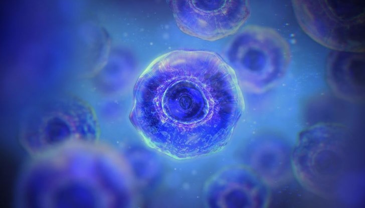 Международeн екип разкри ключов механизъм за контрол на молекулния поток