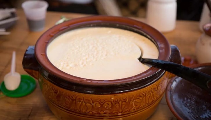 Изследователи от Дания използваха червени дървесни мравки за ферментация по забравен балкански метод