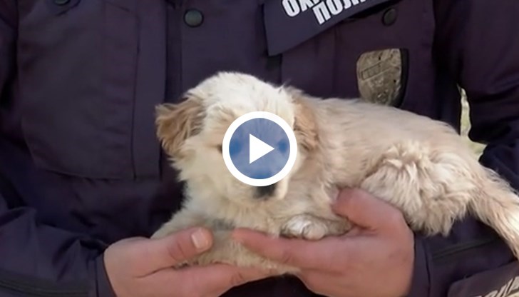 Малката Лили ще бъде осиновена в Англия