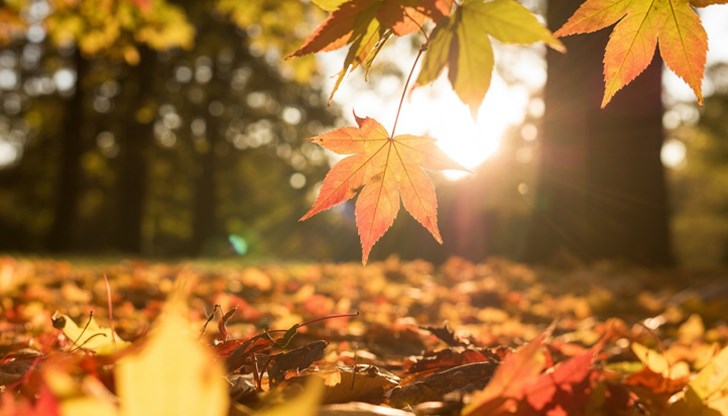 Температурите ще достигнат до 19 градуса, ще има повече слънчеви часове през деня