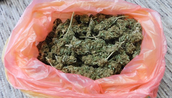 31-годишен мъж призна, че откритата марихуаната е за негова лична употреба