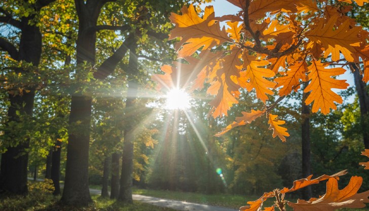 Слънчево и топло време очаква България до края на седмицата