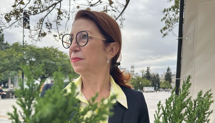 Общинският съветник разкри детайли от срещата между Русе и Гюргево, определяйки политическите изказвания като "димки"