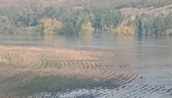 Драгомир Драганов: Няма пряка опасност за населението, но водата е заляла обработваеми земи