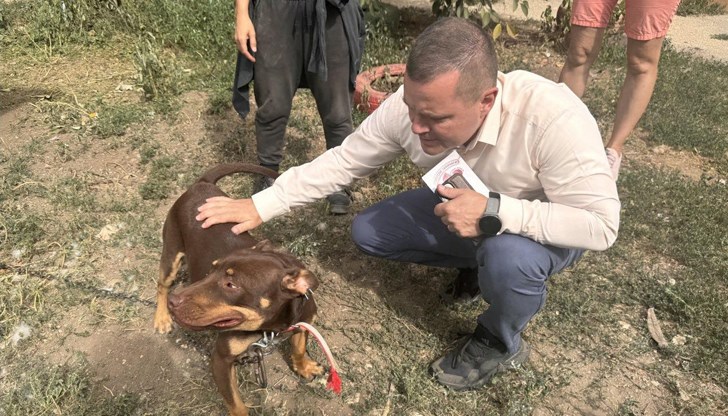 Кметът на Русе отбеляза Световния ден за защита на животните с акцент върху местните инициативи